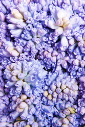 Similar image 123366