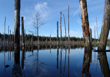 Similar image 123371