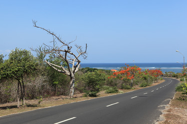 Similar image 123394