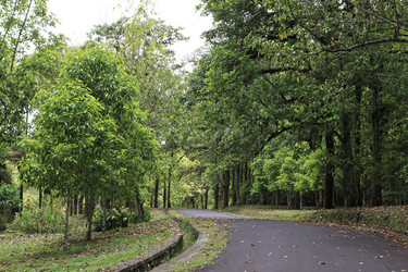 Similar image 123399