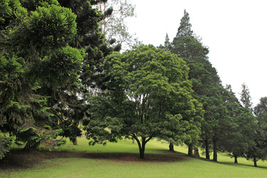 Similar image 123404