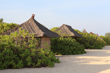 Similar image 123413