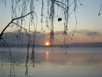 Similar image 123427