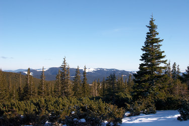 Similar image 123499