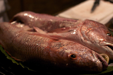 Similar image 123506