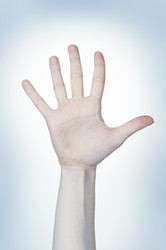 Similar image 123513