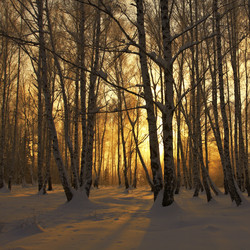 Similar image 123544