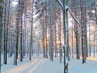 Similar image 123545