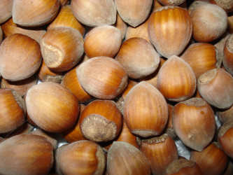 Similar image 123547