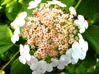 Similar image 123563