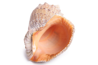 Similar image 123605