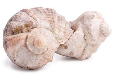 Similar image 123606