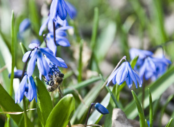 Similar image 123725