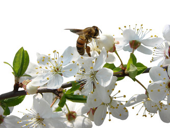 Similar image 123730