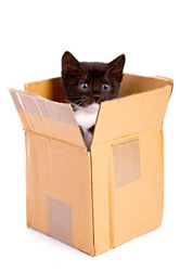 Similar image 123736