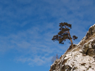 Similar image 123759