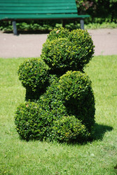 Similar image 123767