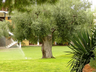 Similar image 123772