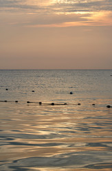 Similar image 123779