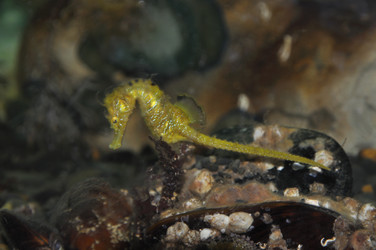 Similar image 123780