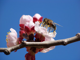 Similar image 123787