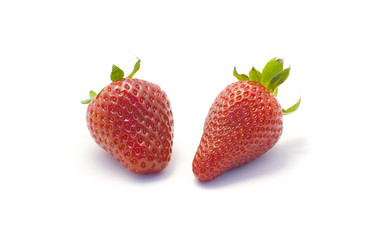 Similar image 123790