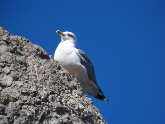 Similar image 123795