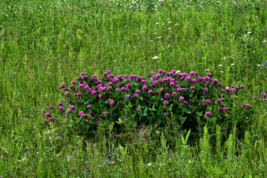 Similar image 123811