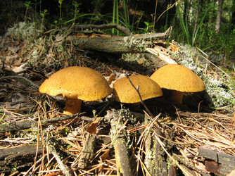 Similar image 123822