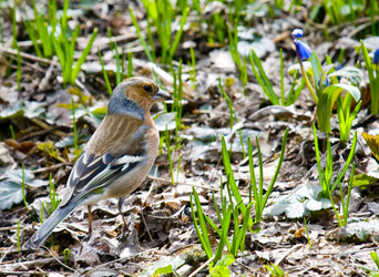 Similar image 123843