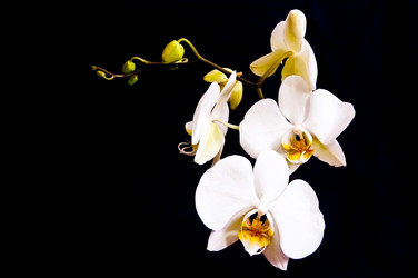 Similar image 123849