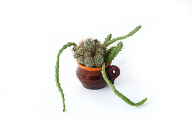 Similar image 123858