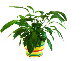 Similar image 123865