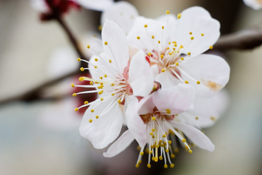 Similar image 123869