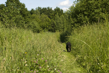 Similar image 123873