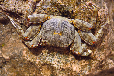 Similar image 123885