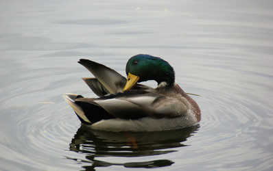 Similar image 123913