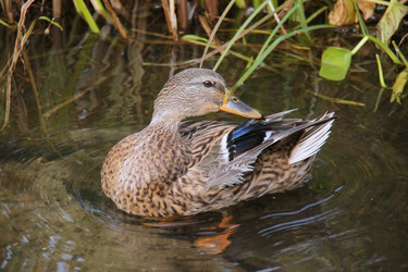 Similar image 123914