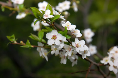 Similar image 123915