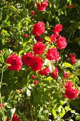 Similar image 123942