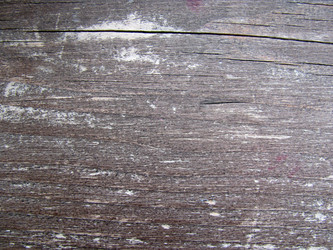 Similar image 123954