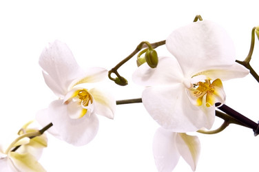 Similar image 123987