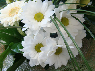 Similar image 123997