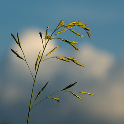 Similar image 124009