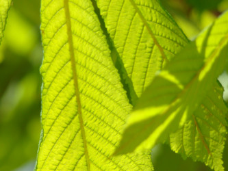 Similar image 124010