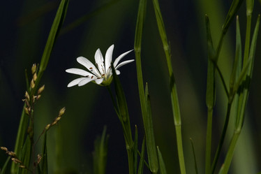 Similar image 124011