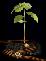 Similar image 124016