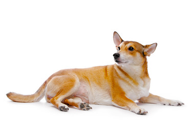 Similar image 124029