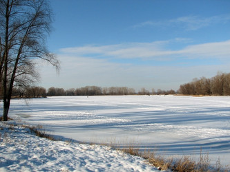 Similar image 124042