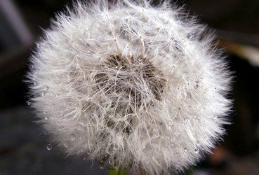 Similar image 124047